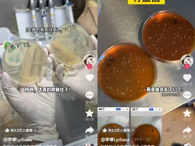 学霸博主实验室硬核评测 自由点:没点真本事还真扛不住