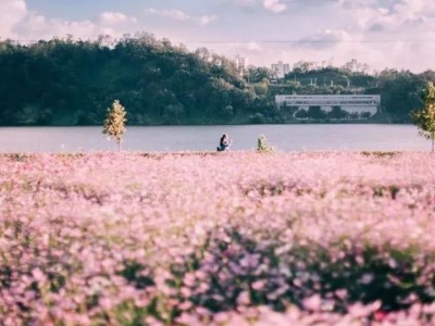 女人过了三十岁,一定要明白的5个道理!