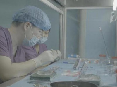 女性生育力受损有“解药”,冻存卵巢组织移植术填补技术空白
